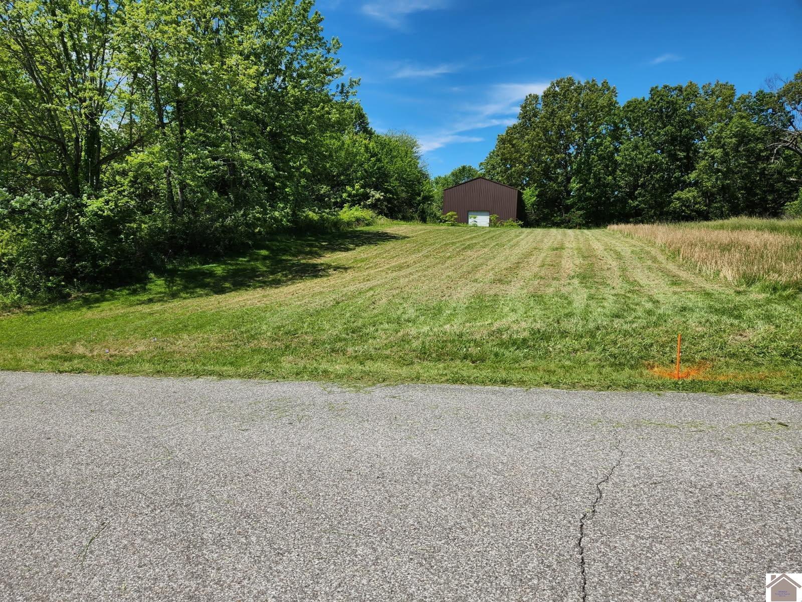 Property Photo:  668 Hawkeye Rd  KY 42044 