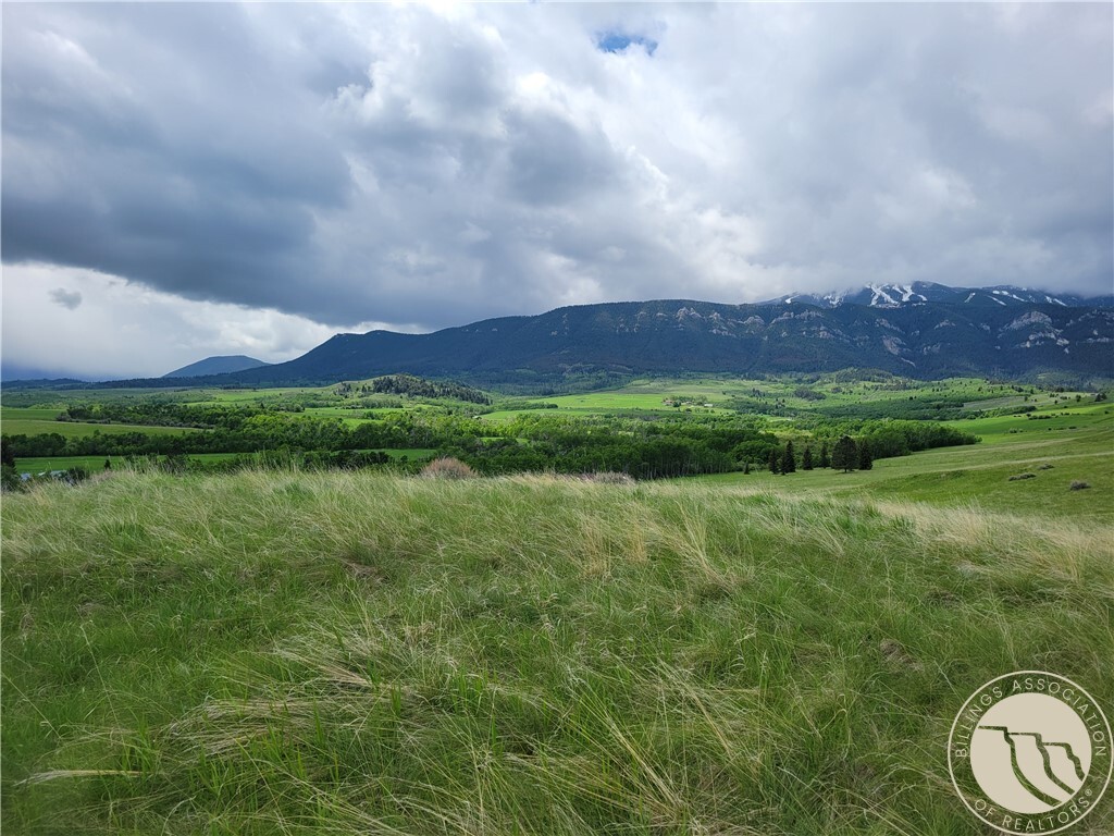 Property Photo: 447 Highway 78, Aka Lot 2 Whitetail Lane MT 59068
