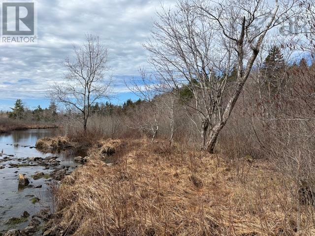 Property Photo:  Lots Margo Road  NS B0W 1M0 