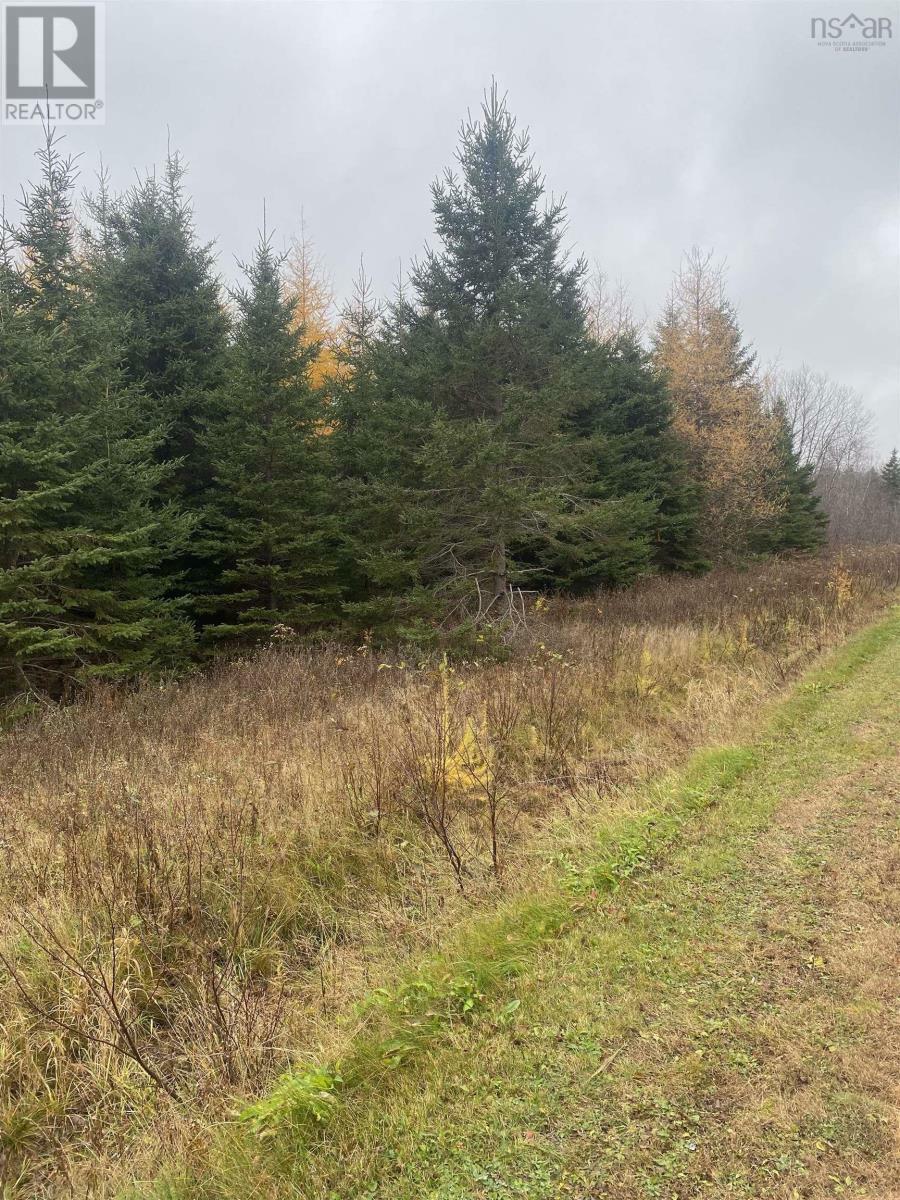 Property Photo:  Lot 8 New Cheverie Road  NS B0N 1E0 
