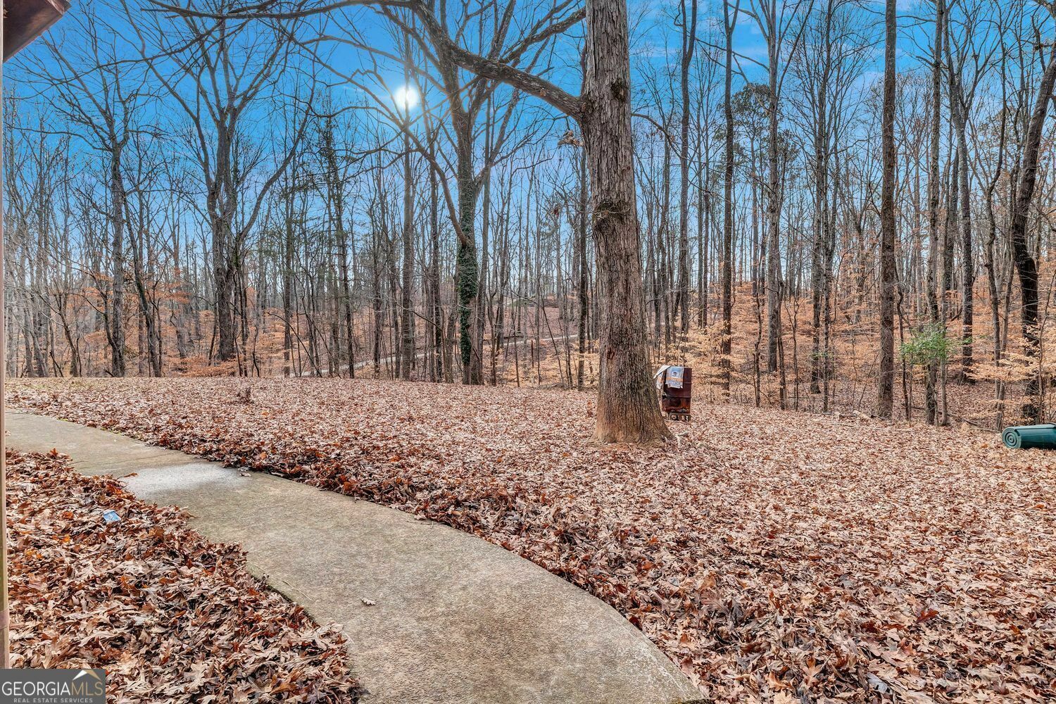 Property Photo: 4220 Chapel Hill Farms Drive GA 30135