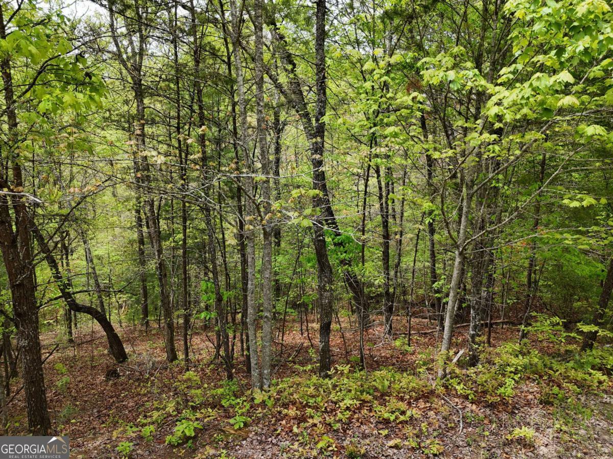 Property Photo: Lot 20 Crabapple Lane GA 30559
