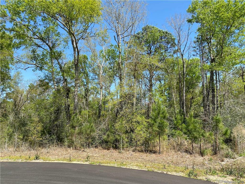 Property Photo: 0 Robinwood Drive E LA 70611