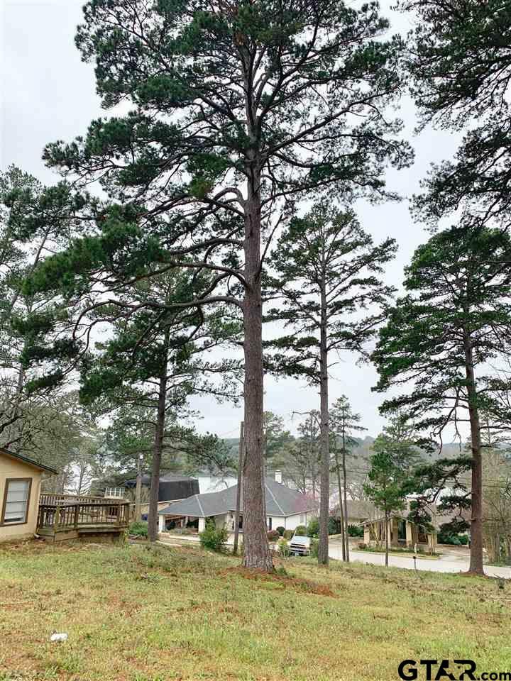 Property Photo: 425 Hideaway Lane Central TX 75771