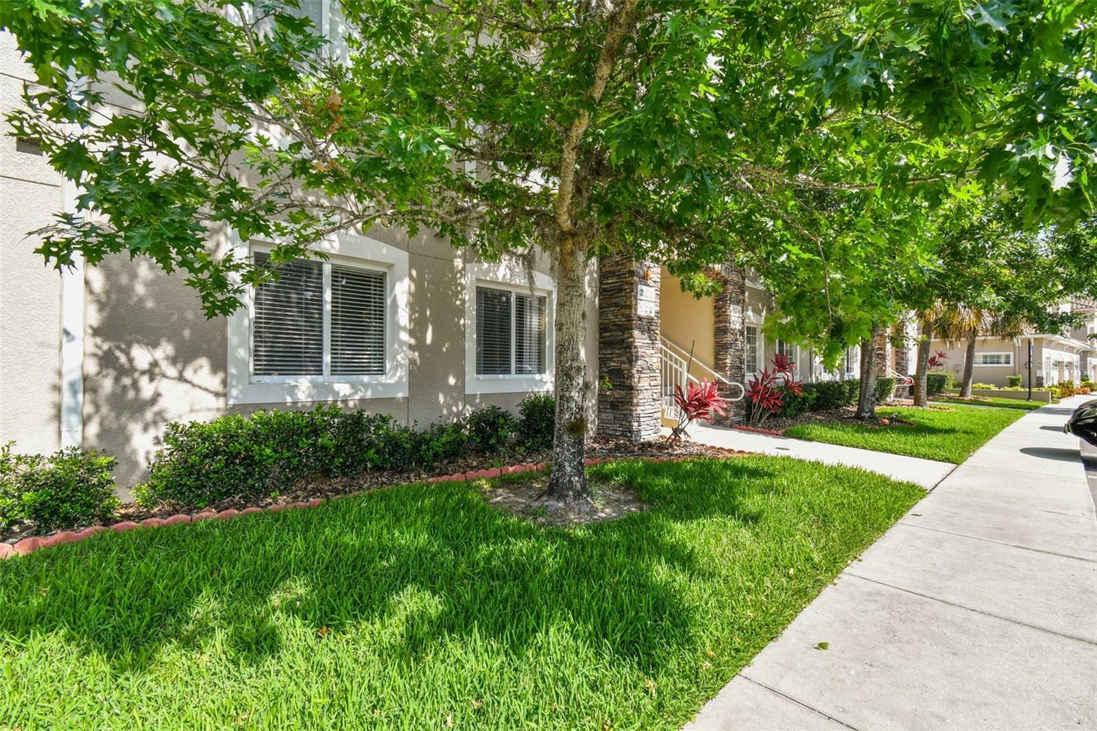 Property Photo: 1231 Godavari Way 103 FL 33543