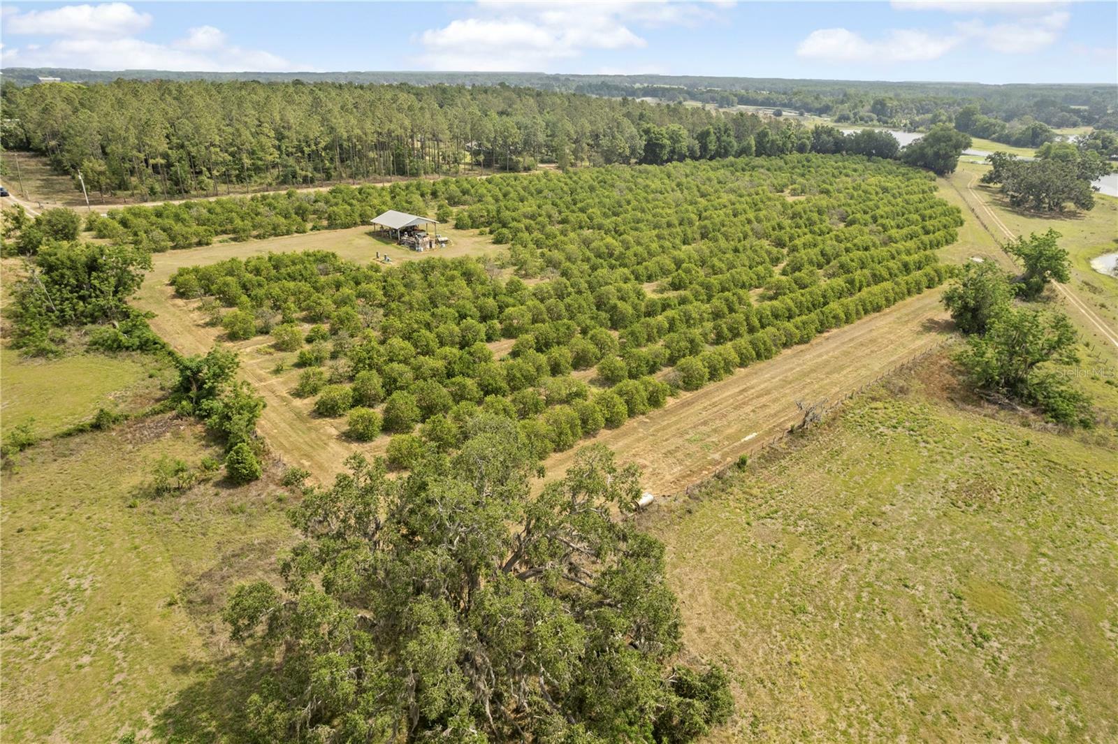 Property Photo: 0 Barry Rd FL 33523