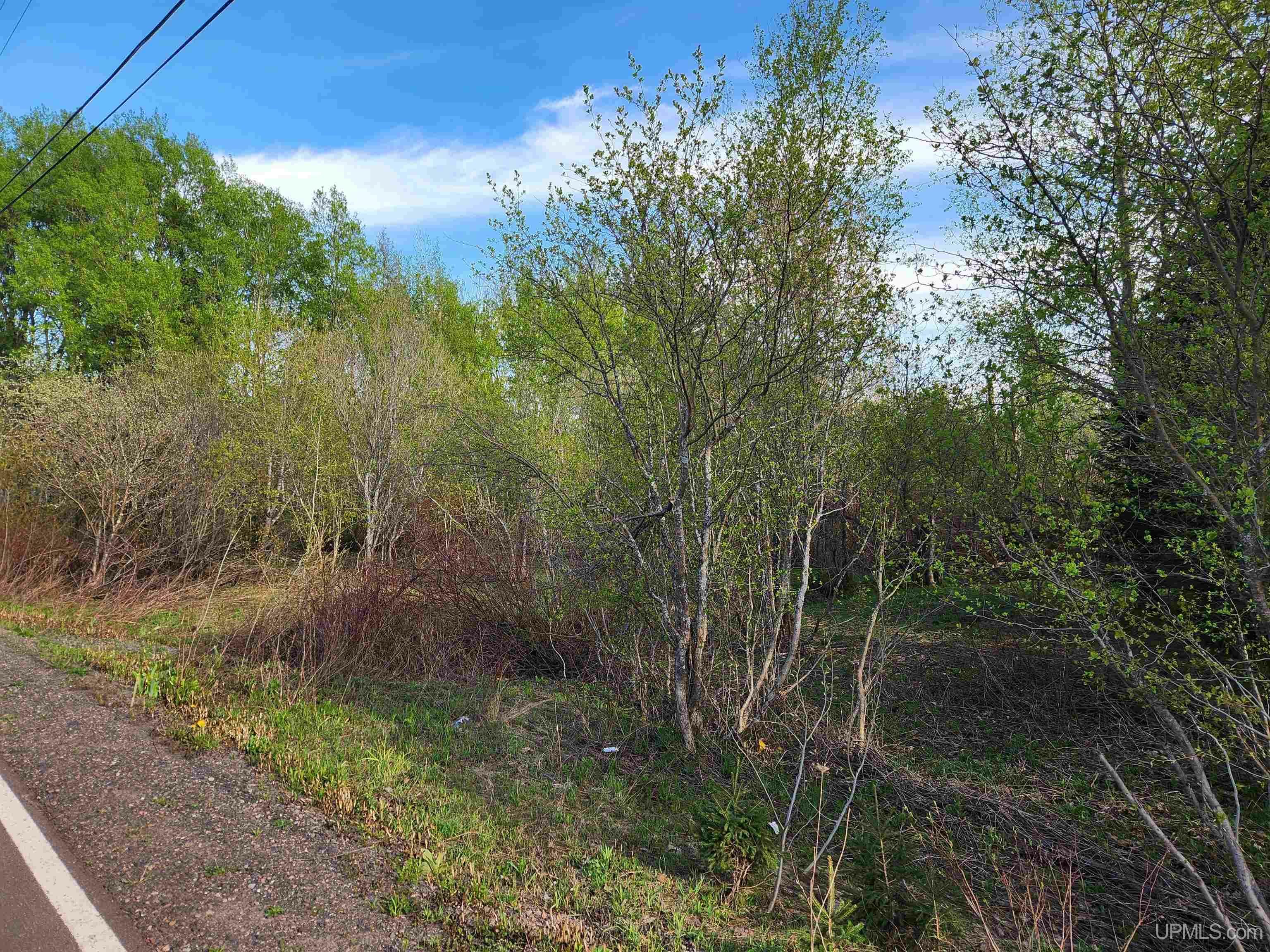 Property Photo: Tbd Part Lot 39 Millionaire Street MI 49913