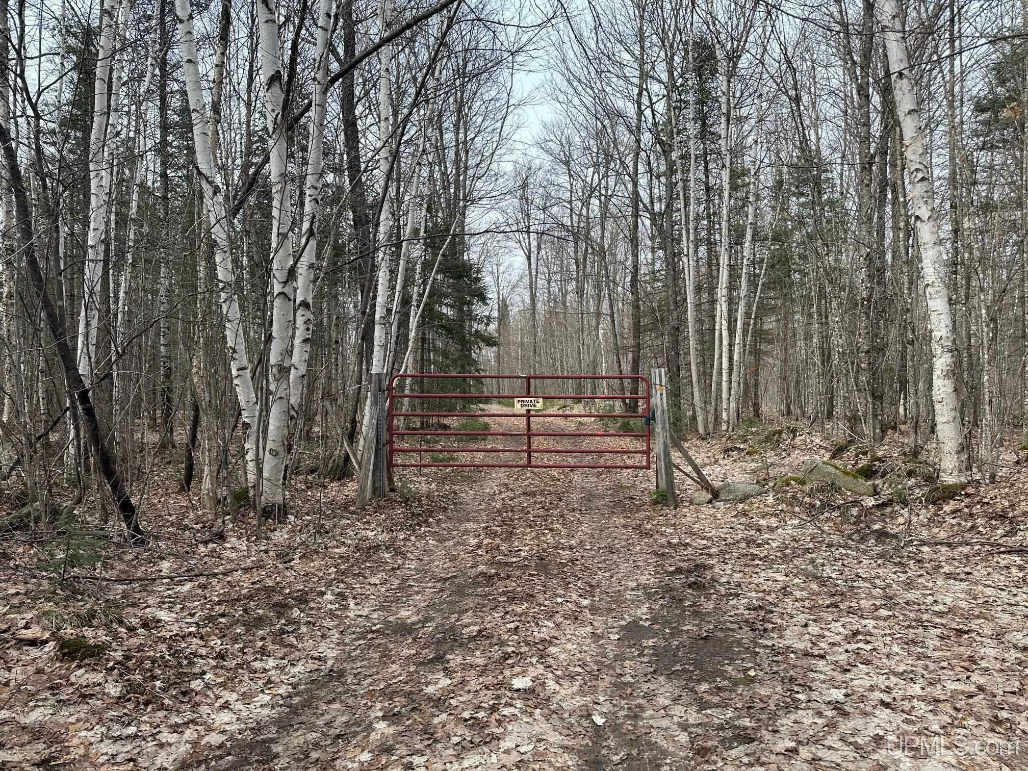 Property Photo: Tbd County Rd Af (Black Hill Street) Road MI 49814-9767