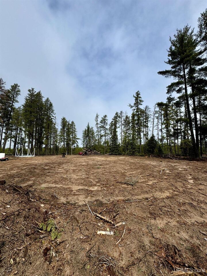 Property Photo:  61 Road One Road  MI 49849 