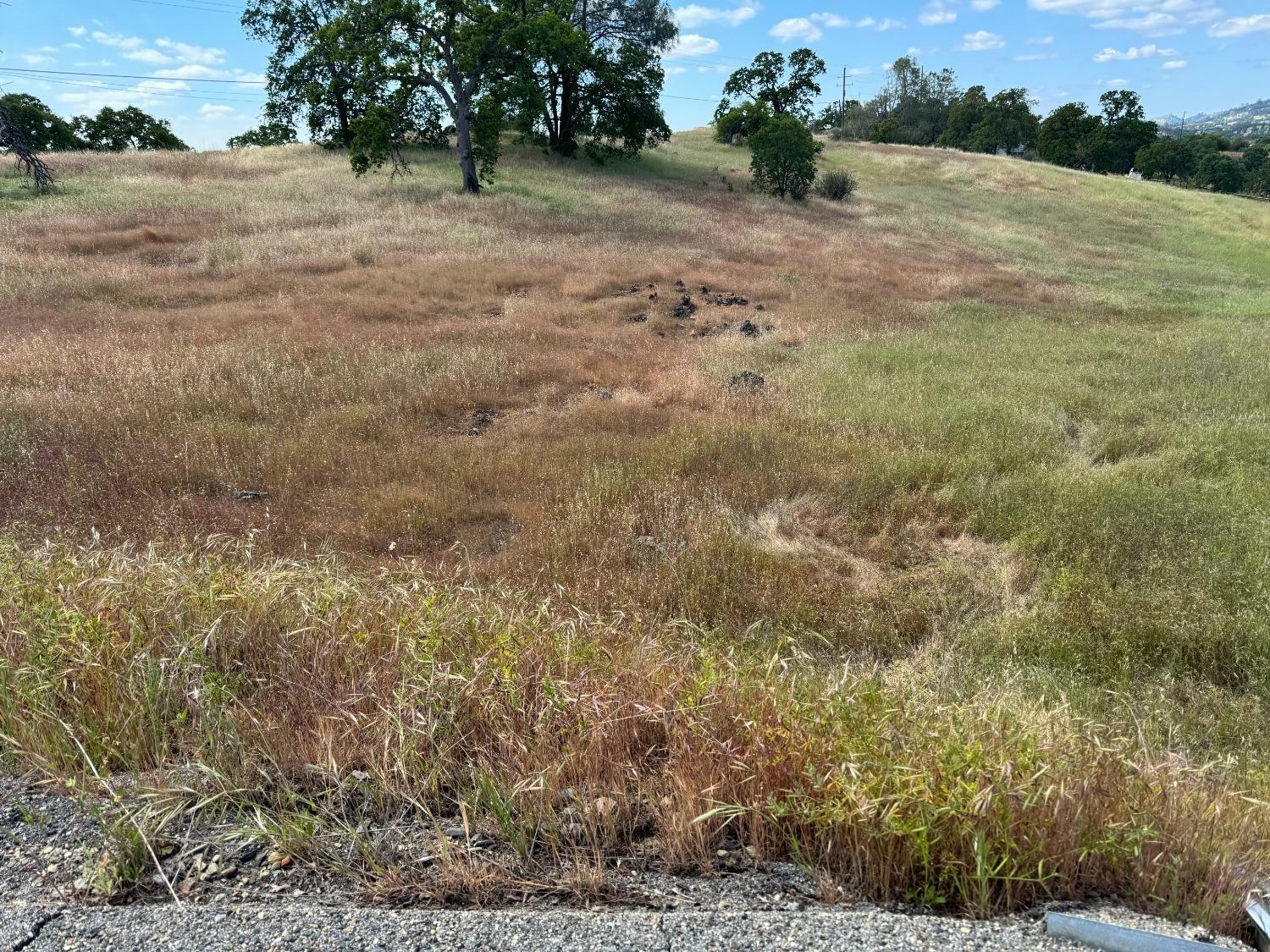 570 Bolivar Court  La Grange CA 95329 photo