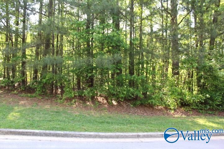 Property Photo:  Lots 6 And 7 Lea Christine Circle  AL 35016 