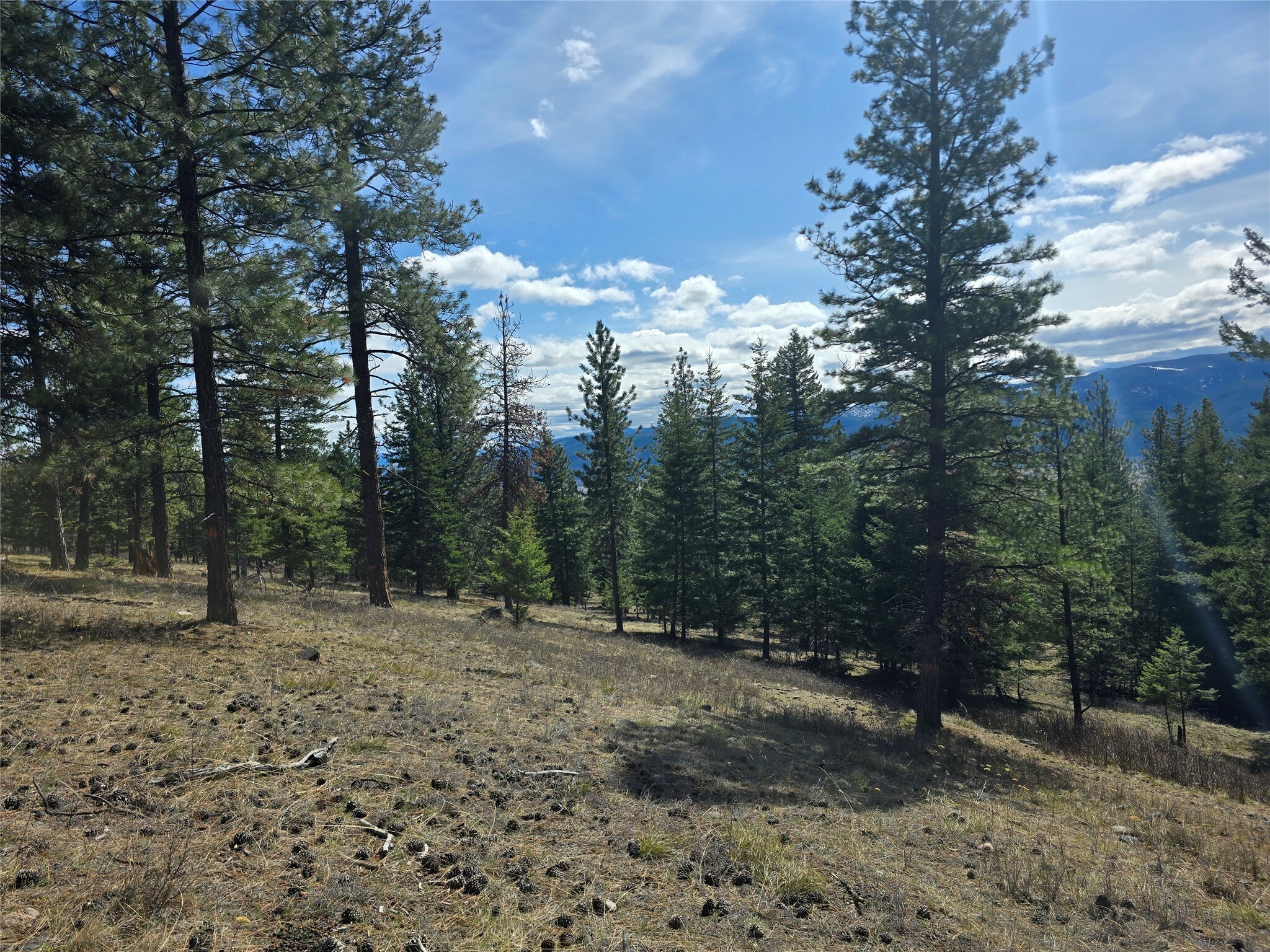 Property Photo: Nhn . MT 59834