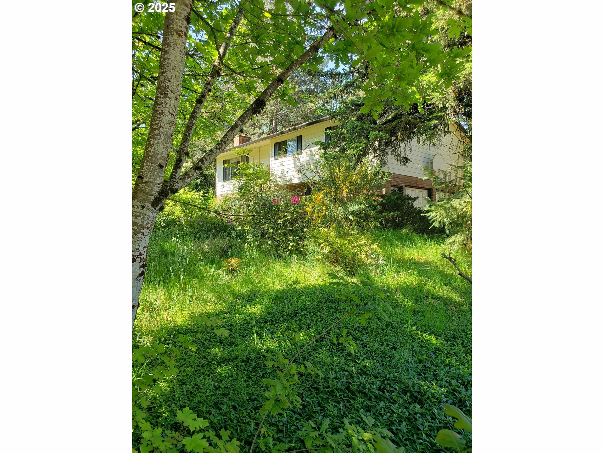 17855 Deerbrush Ave  Lake Oswego OR 97035 photo