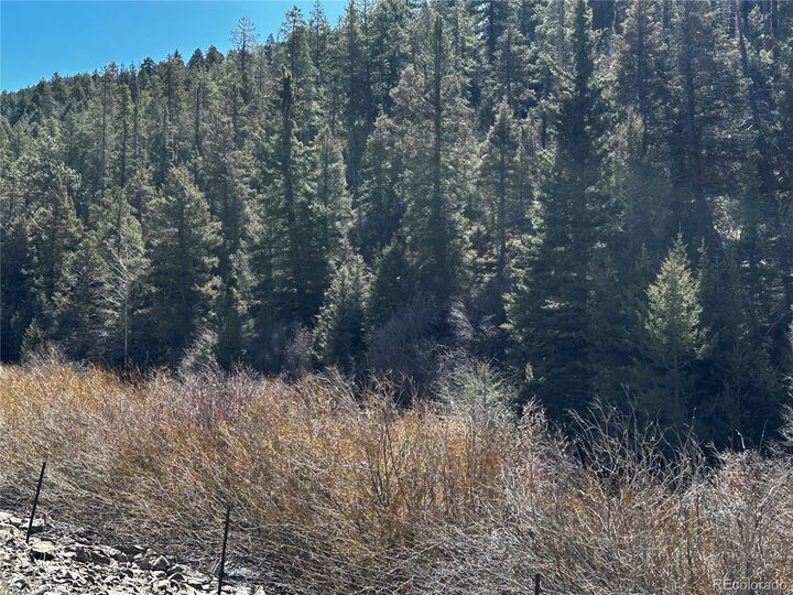 Property Photo:  Lot 223 Hwy 160  CO 81133 