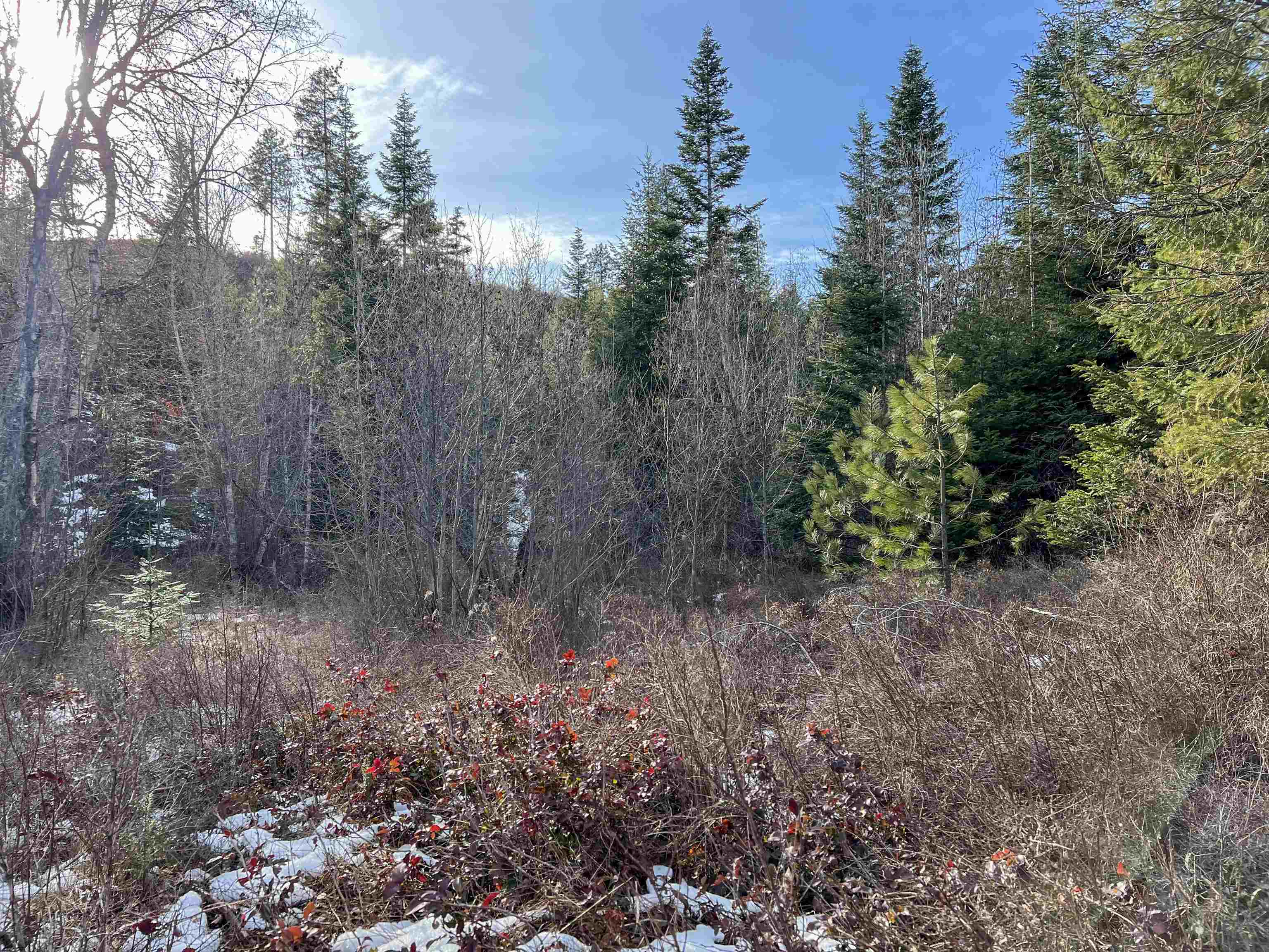 Property Photo: 35xx Harms Way WA 99181