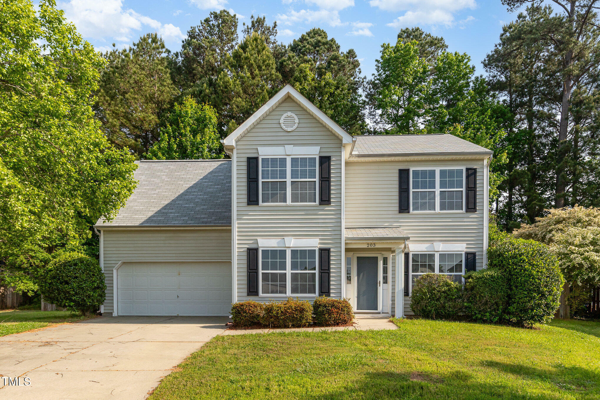 Property Photo: 203 Downing Bluff Drive NC 27560