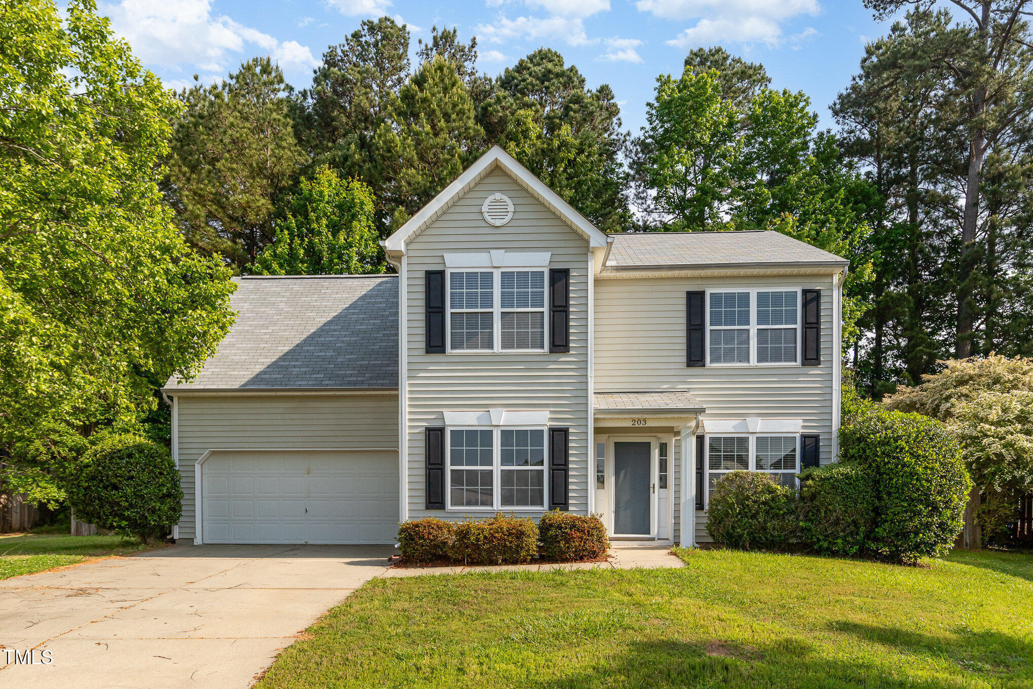 Property Photo:  203 Downing Bluff Drive  NC 27560 