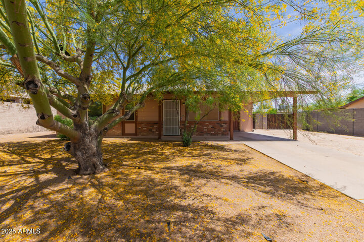 525 N 94th Way  Mesa AZ 85207 photo