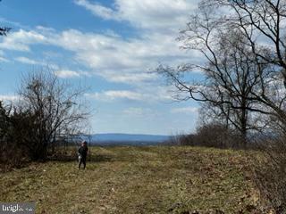 Stumptown Road  Leesburg VA 20176 photo