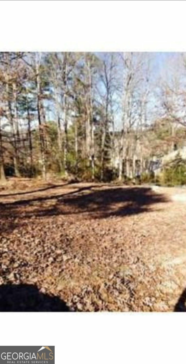 Property Photo: 5566 La Fleur Trail GA 30038
