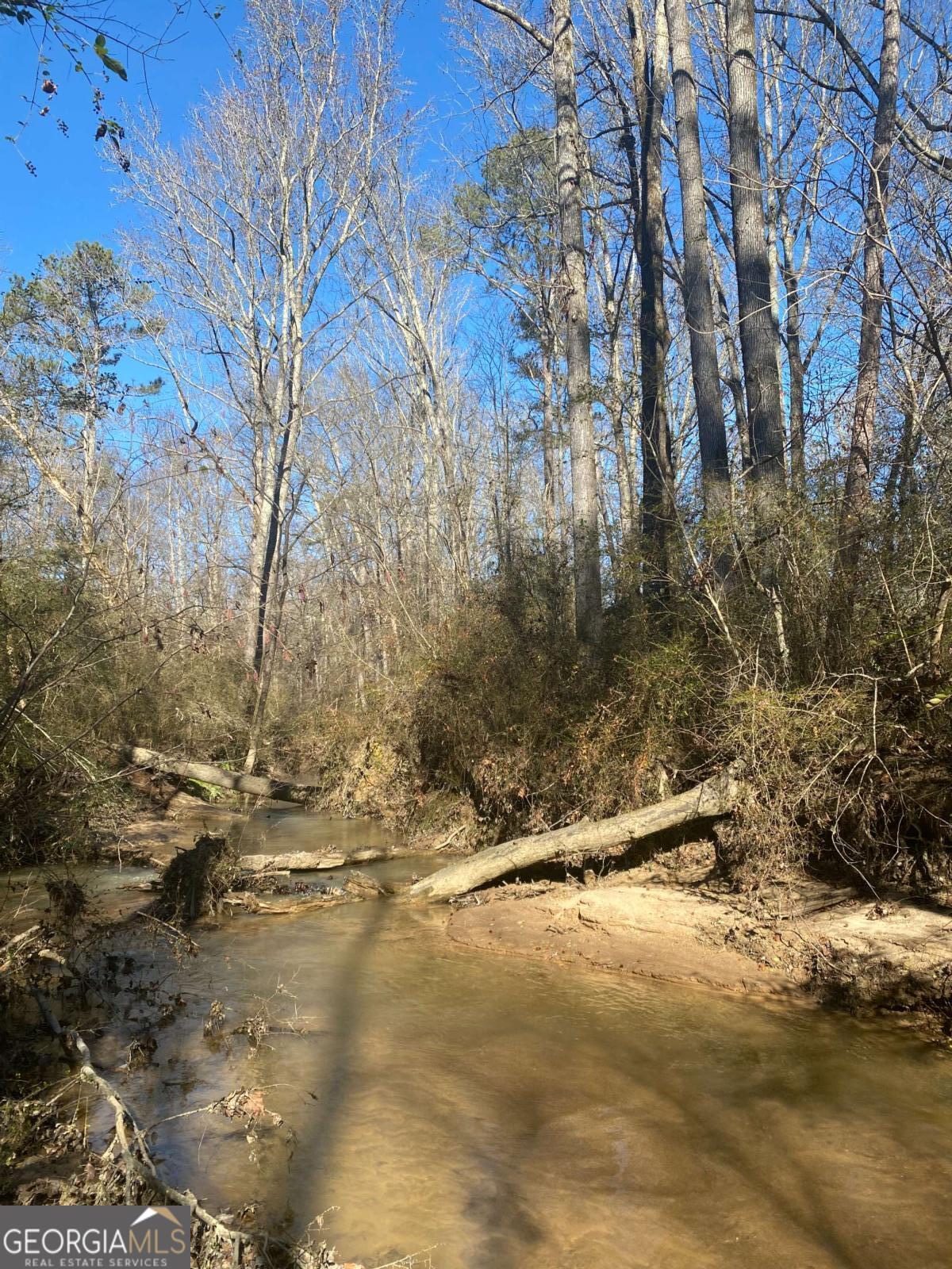 Property Photo: 0 Kent Rock Road GA 30052
