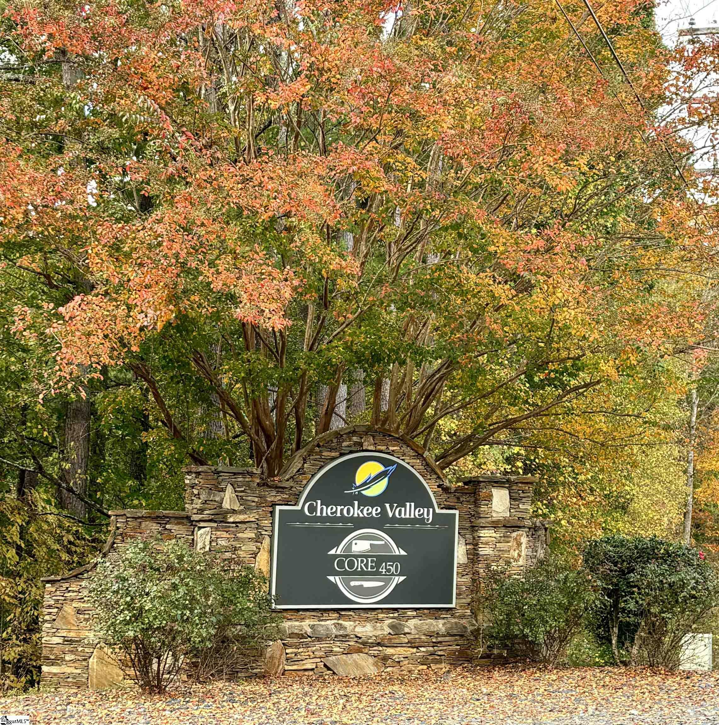 Property Photo: 313 Laurel Valley Way SC 29690