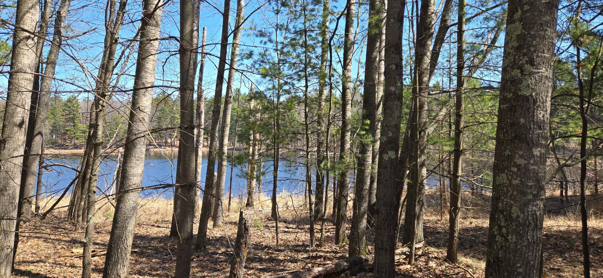 Property Photo:  Lot 1 Farming Rd N  WI 54568 