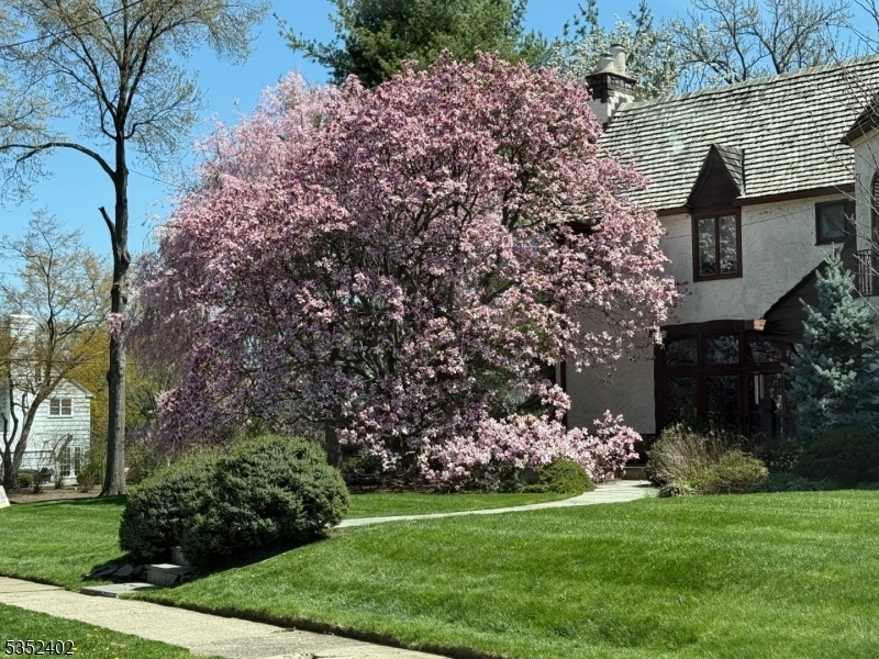Property Photo: 800 Hillside Avenue NJ 07090