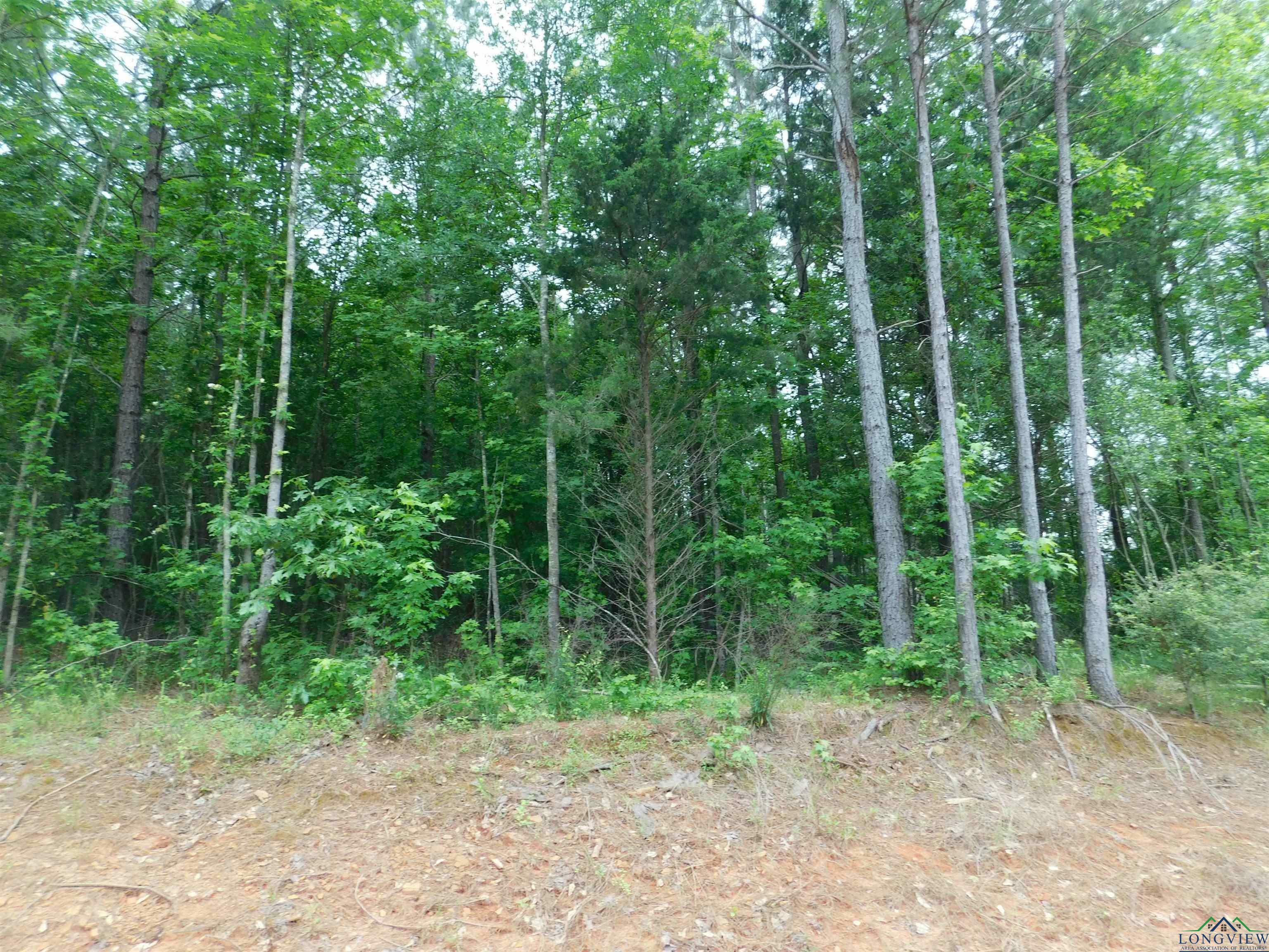 Property Photo: Tbd Megan Mills Rd TX 75644