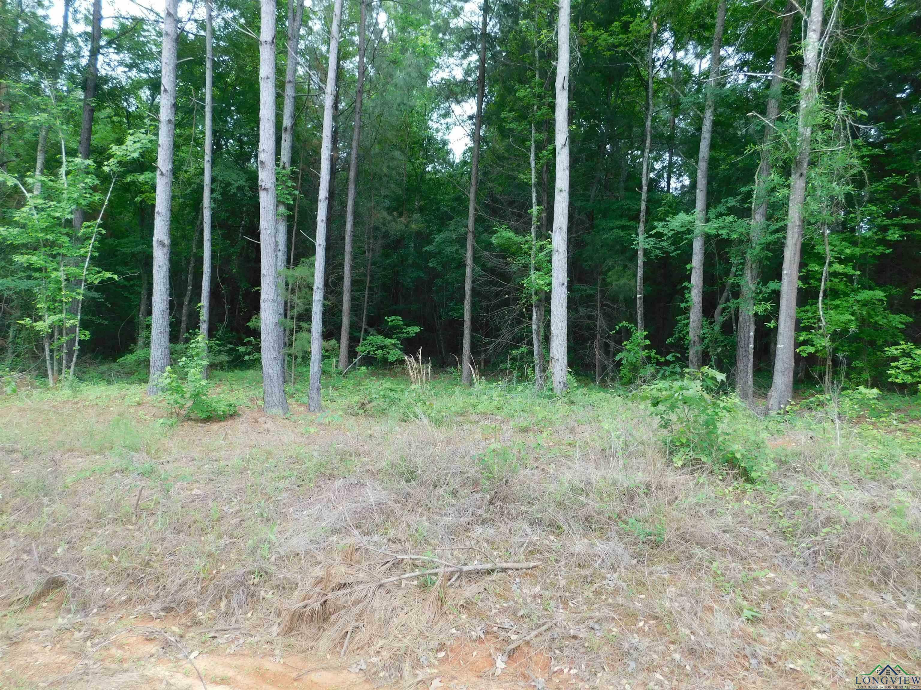 Property Photo: Tbd Megan Mills Rd TX 75644