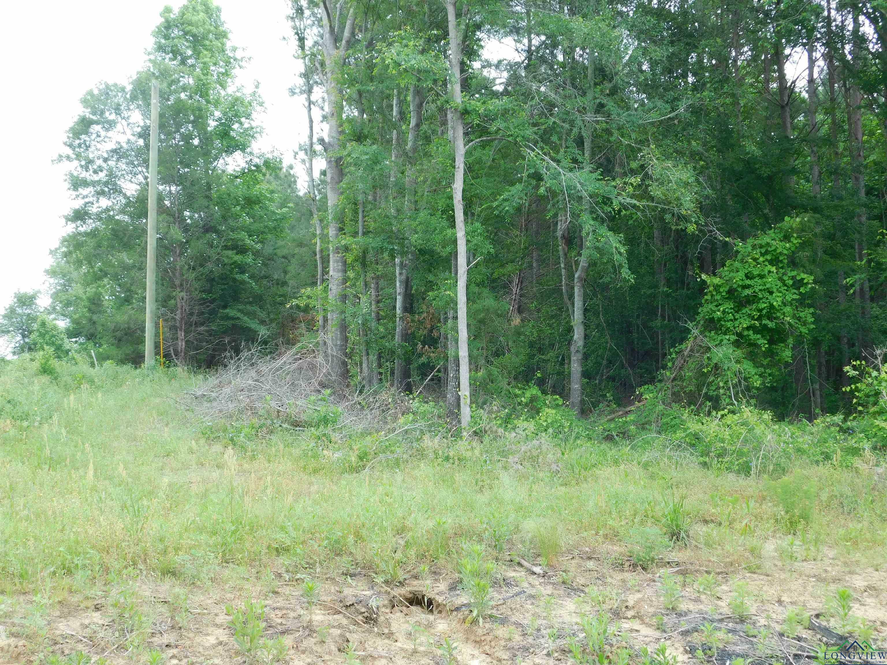 Property Photo: Tbd Groundhog Rd TX 75644