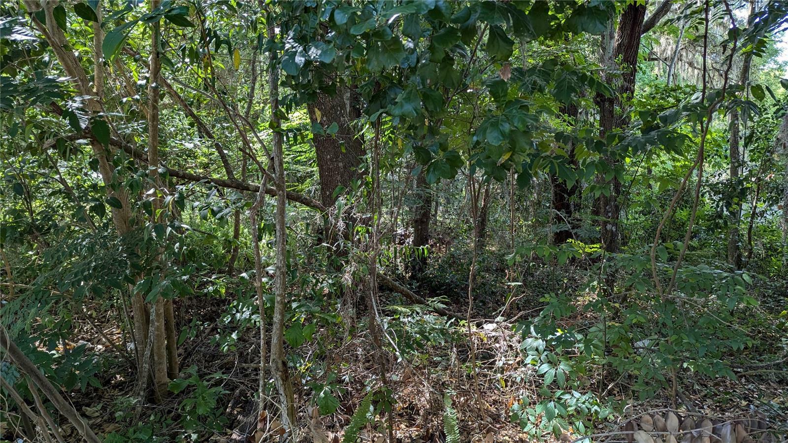 Property Photo: 2602 NE 70th Street FL 32609