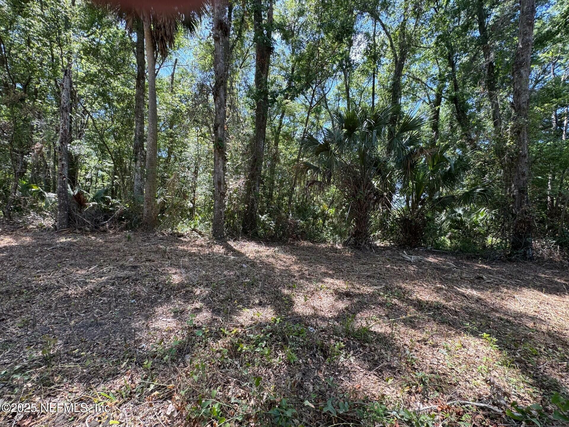 Property Photo: 109 Richmond Street FL 32189