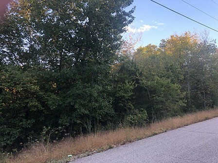 Property Photo: 70 Eagle Drive AR 72631