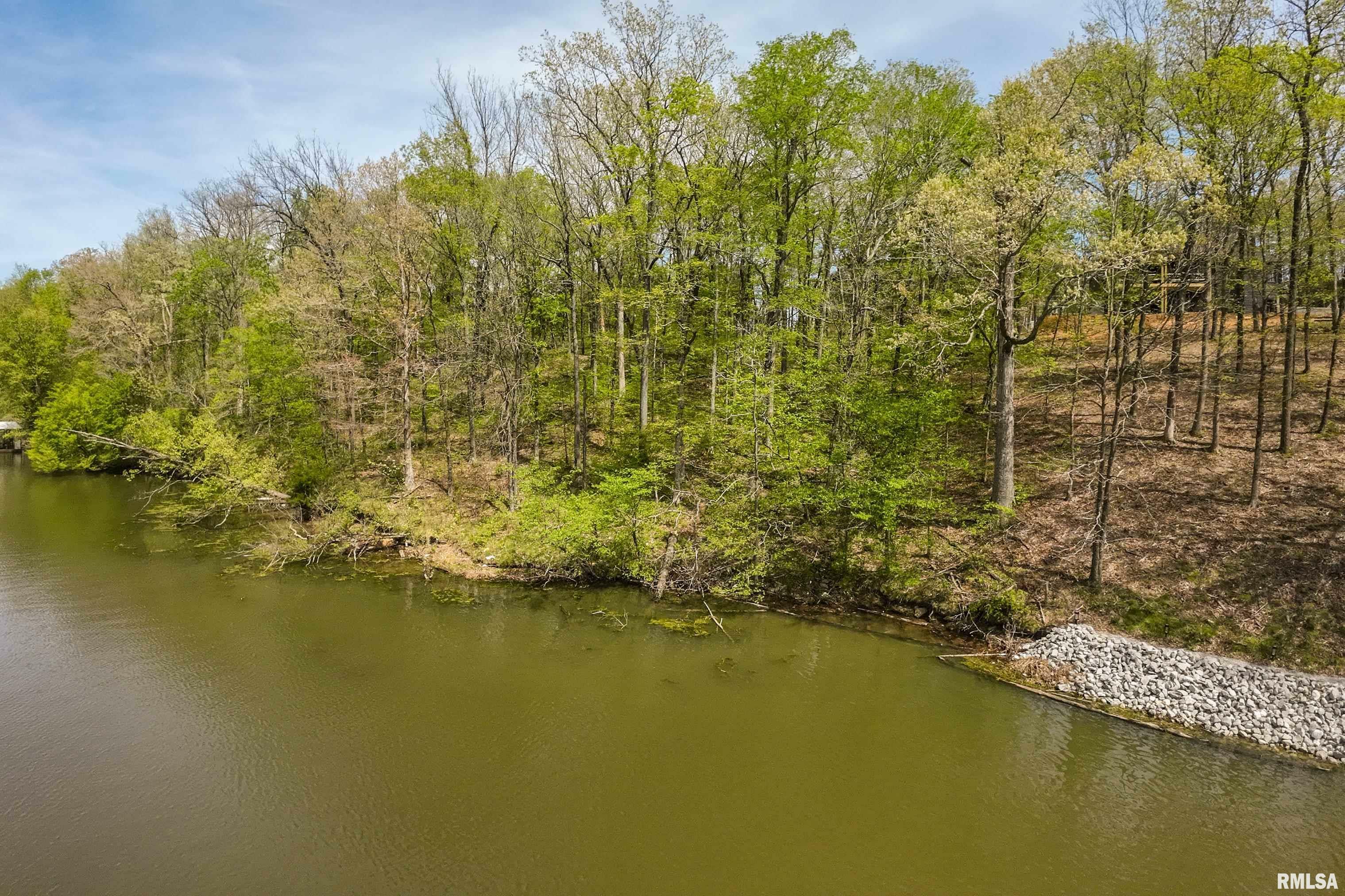 Property Photo: Lot 142 &Amp 143 Cherry Point IL 62939