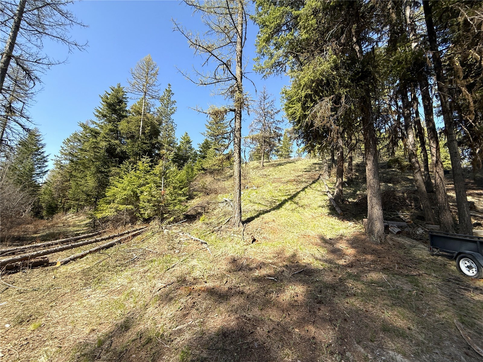 Property Photo: 0 Tbd Give Out Creek Road WA 98859