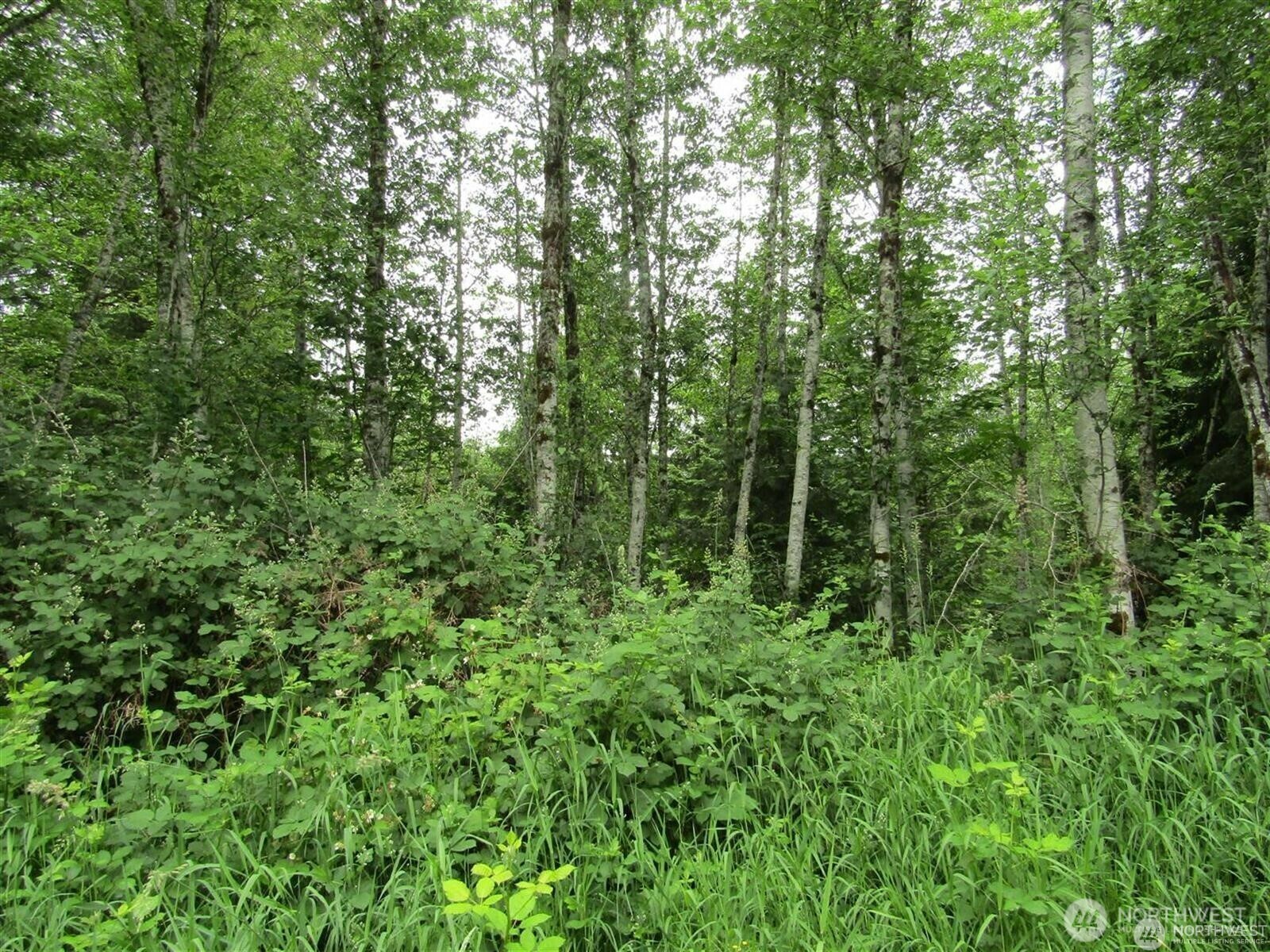 Property Photo: 0 Davis Lake Road WA 98356