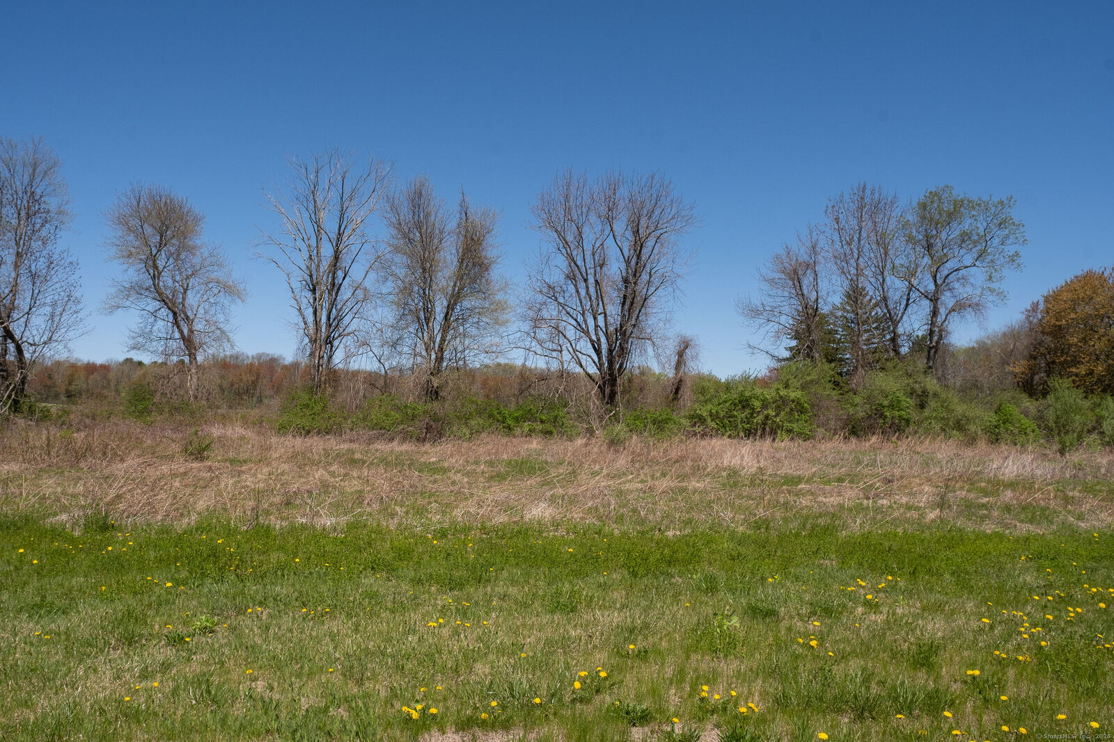Property Photo:  395 Grant Hill (Mill Race Drive) Lot #21 Road  CT 06238 