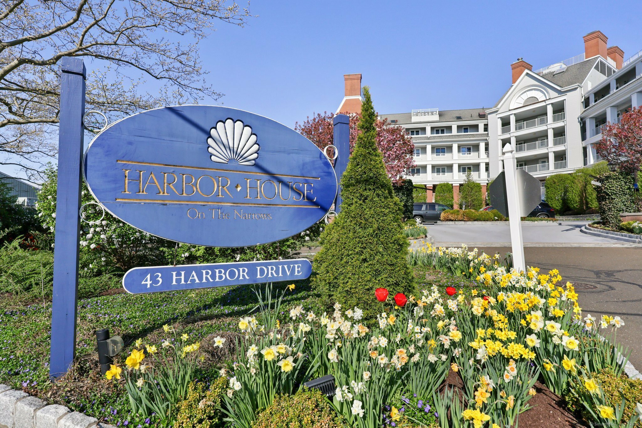 Property Photo:  43 Harbor Drive Apt 502  CT 06902 