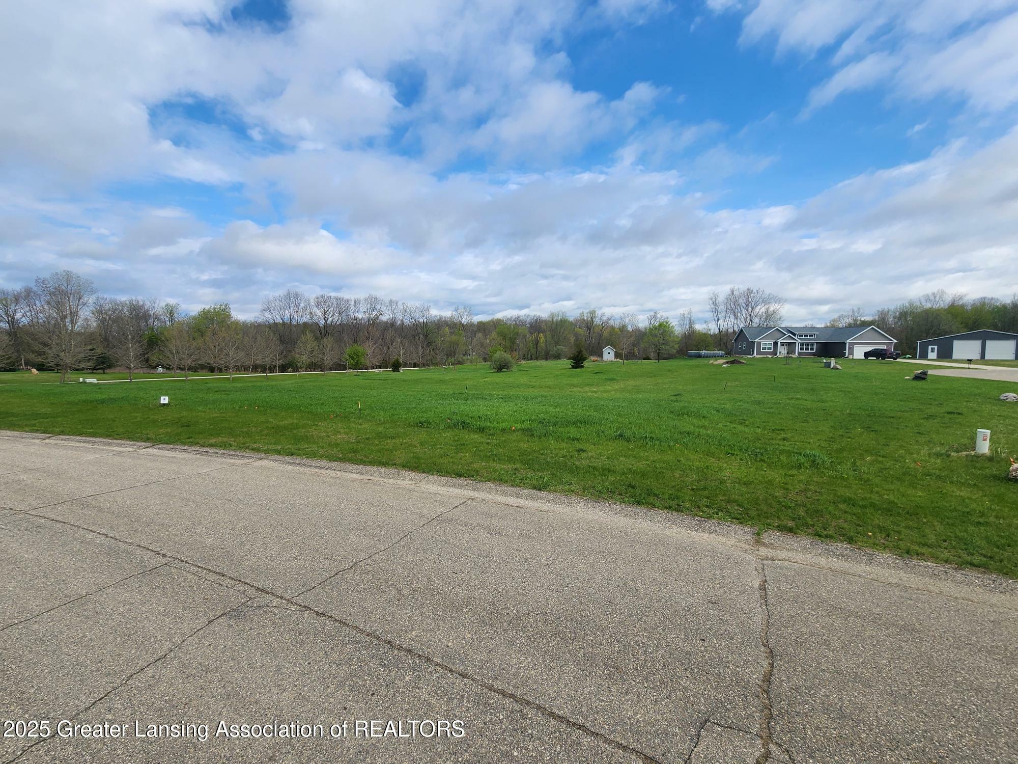 Property Photo: 0 Mountainmint Circle MI 48875