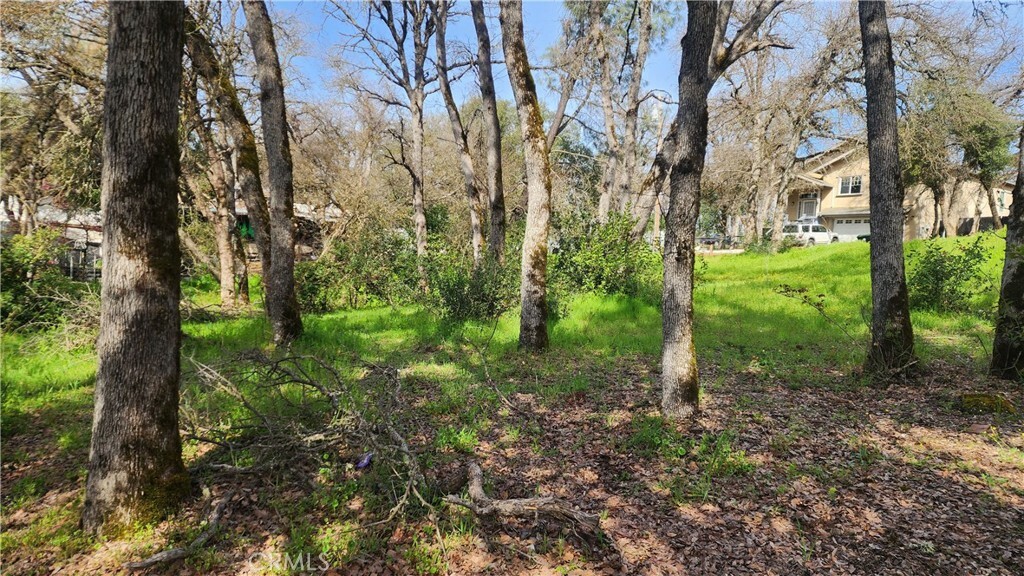 Property Photo: 15831 29th Avenue CA 95422