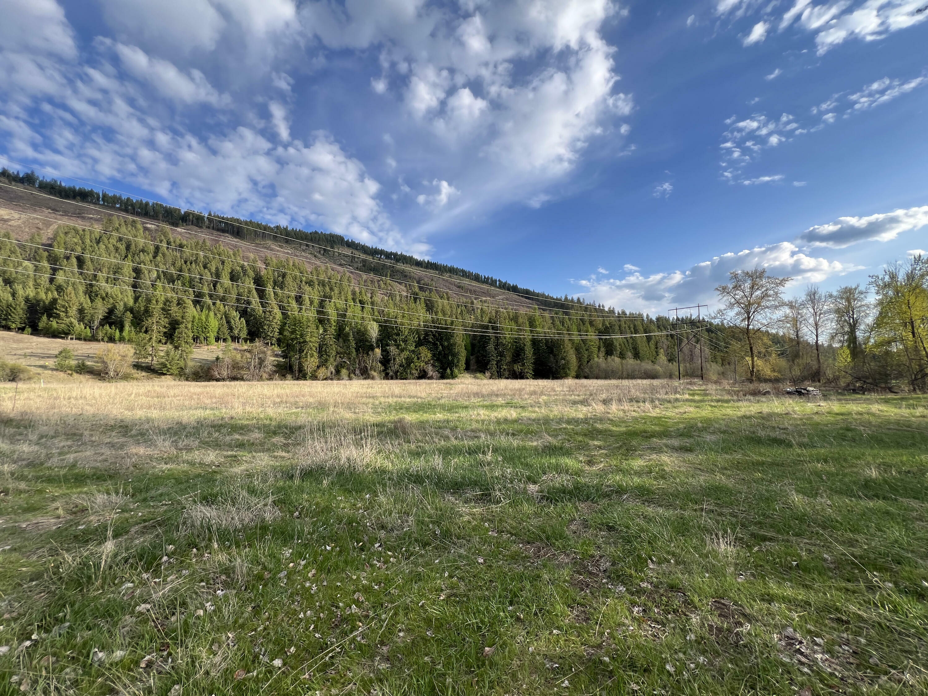 Property Photo: 588-Tbd Aladdin Rd WA 99114
