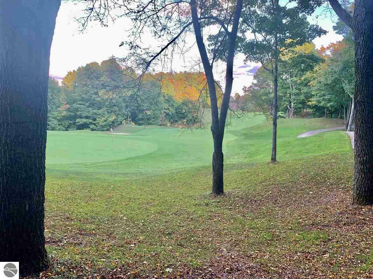 Property Photo: Lot 183 Troon South MI 49615