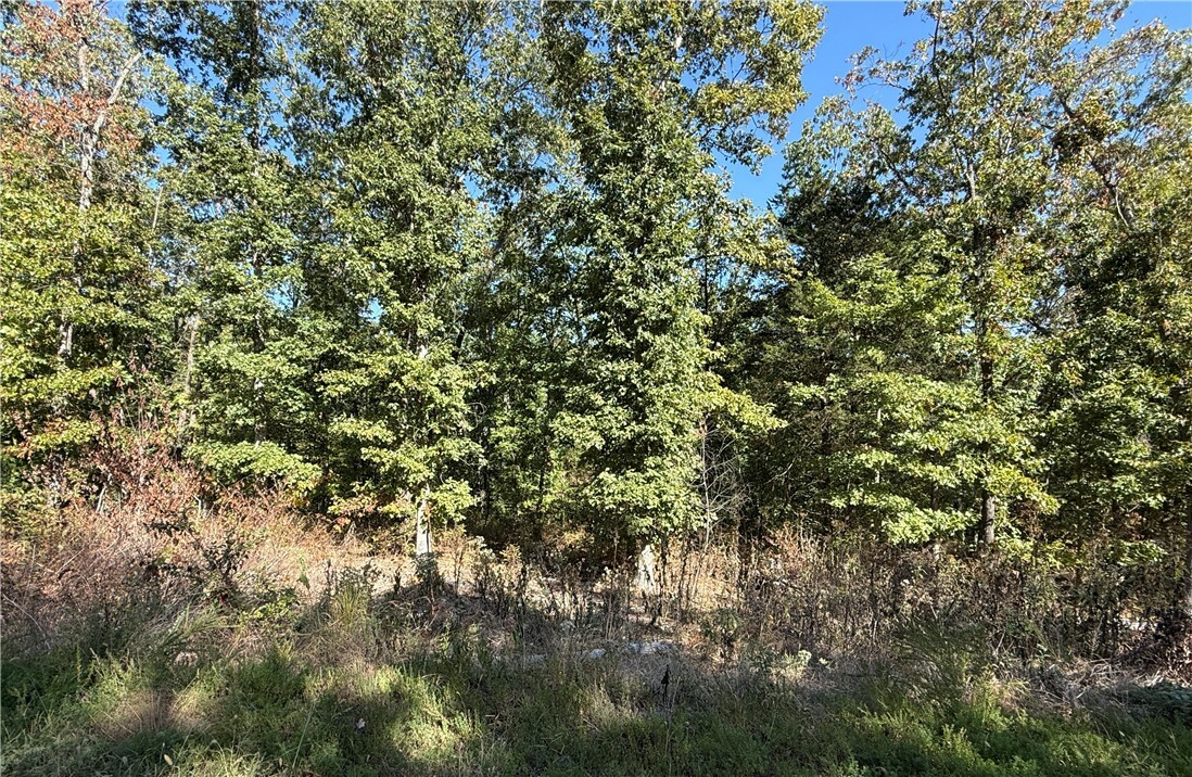 Property Photo: Lot 10, Block 5 Tummell Drive AR 72715