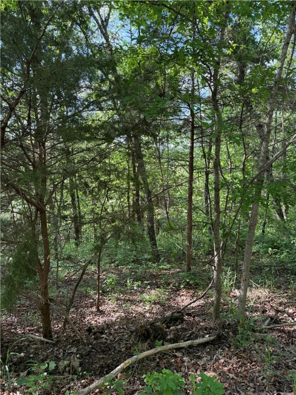 Property Photo: Woodside Lane AR 72631