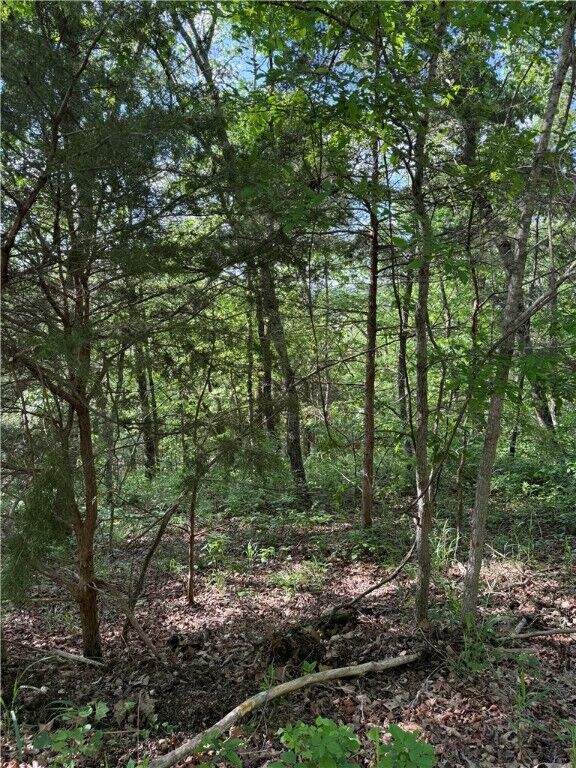 Property Photo: Lot 15 Woodside Lane AR 72631