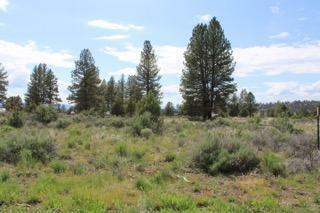 Property Photo: Deer Springs Road OR 97621