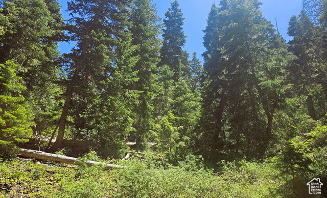 Property Photo: 55 Timber Ridge Rd A55 UT 84647