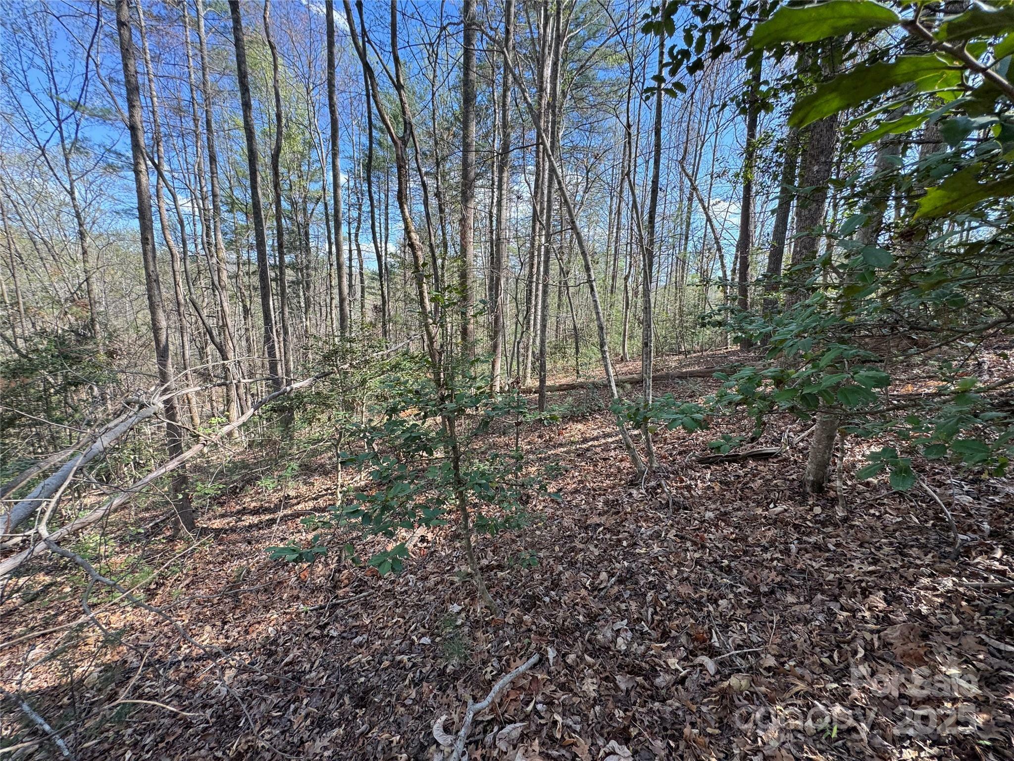 Property Photo: 0 Rusty Lane NC 28645