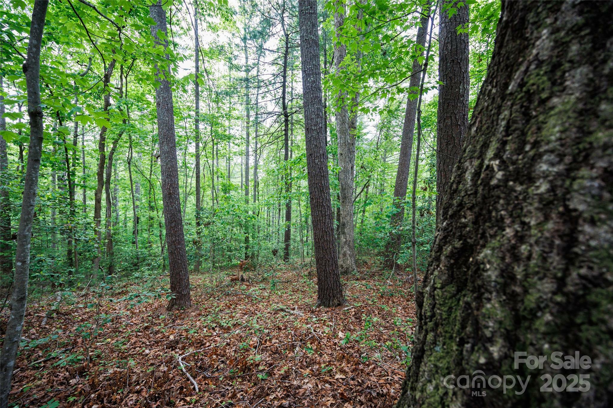 Property Photo:  0 Rusty Lane  NC 28645 